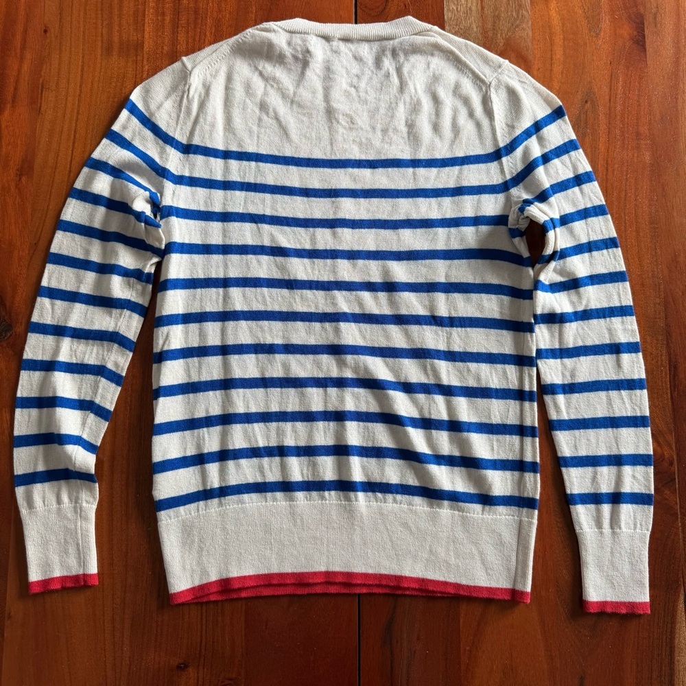 Banana Republic Blue and Cream Striped Crewneck Sweater with a Fun Pop of Red - Picture 8 of 8